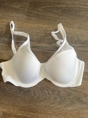 (12) New wonderbra
